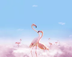Fototapeta Magia Różowych Flamingów w Chmurach