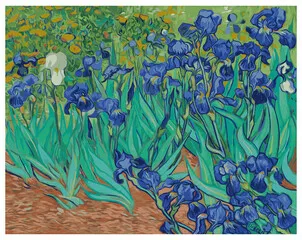 Obraz Vincent van Gogh Irises Classic Art Paint