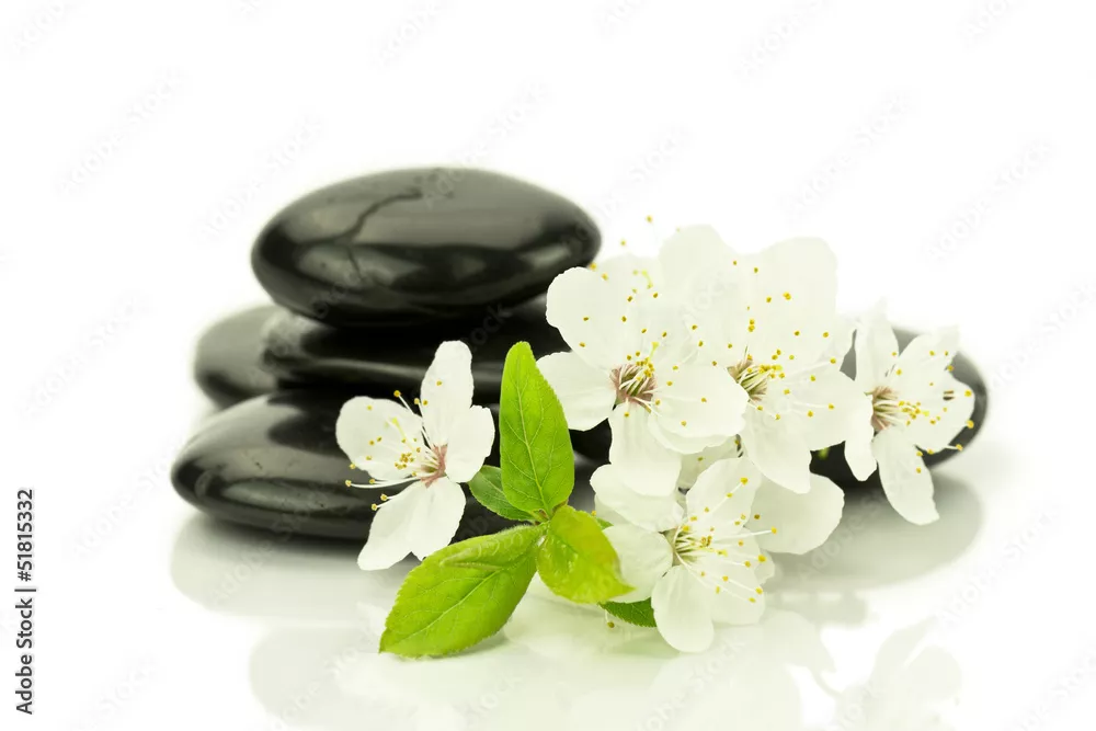 Obraz Kwiaty dzikiej śliwy z kamieniami do spa