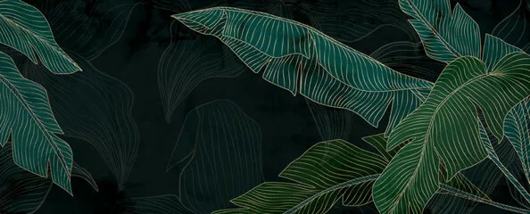 Fototapeta Abstrakcyjne tło z liśćmi palm tropikalnych w stylu złotej linii. Botaniczny ręcznie rysowany baner wektorowy do projektowania tapet, druku, projektowania wnętrz, grafiki ściennej.
