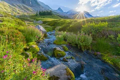 Obraz Harmonia Poranka w Górskim Krajobrazie