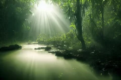 Fototapeta Magia Tropikalnego Lasu: Blask Porannego Słońca