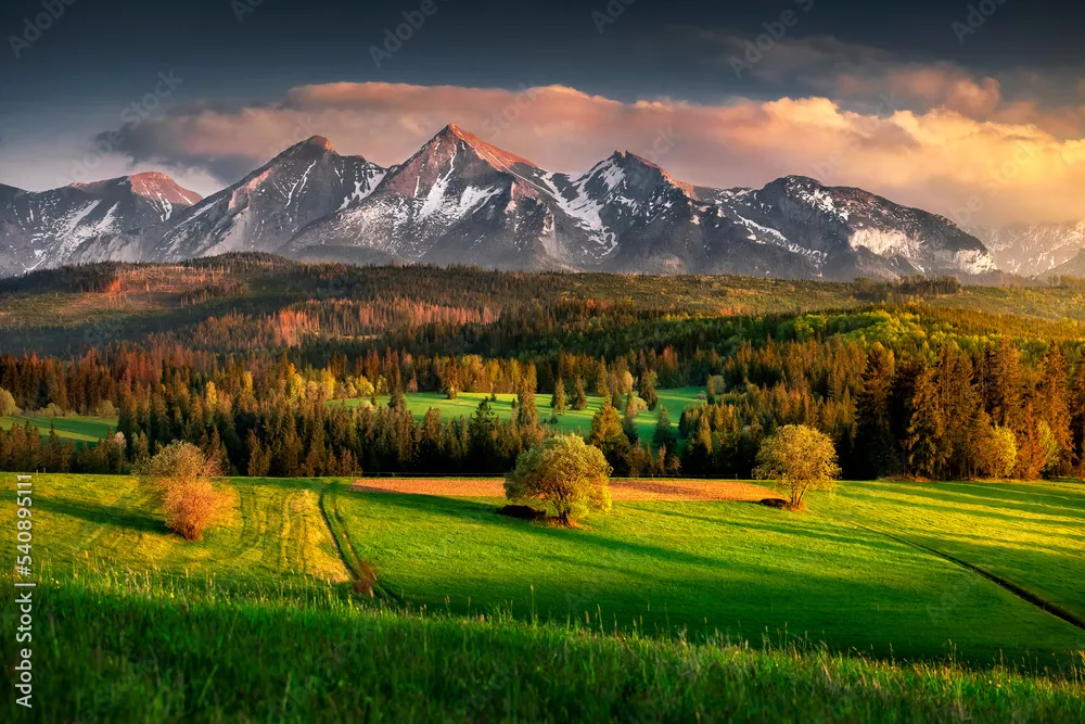 Obraz Tatra Mountains. View from the pass over Łapsznka. Mountains, meadows, fields, spring, Poland. Belianske Tatras. Tatry, Panorama. Widok z Przełęcz nad Łapsznką na góry, polska, spisz. 