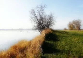 Fototapeta Rzeka Wisla - woda & zielona łąka