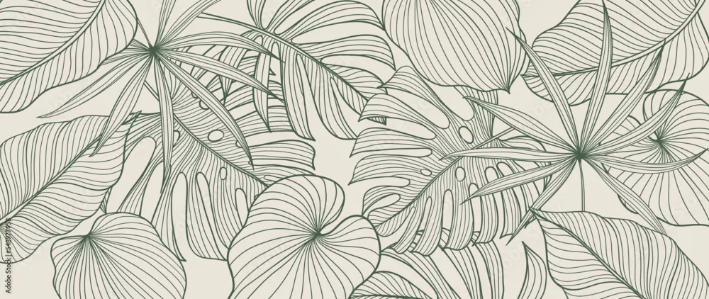Fototapeta Wektor tła liści tropikalnych. Eleganckie, ręcznie rysowane tropikalne monstera i liście palmowe tło grafiki liniowej. Ilustracja projektowa do dekoracji, dekoracji ściennych, tapety, okładki, banera, plakatu, karty.