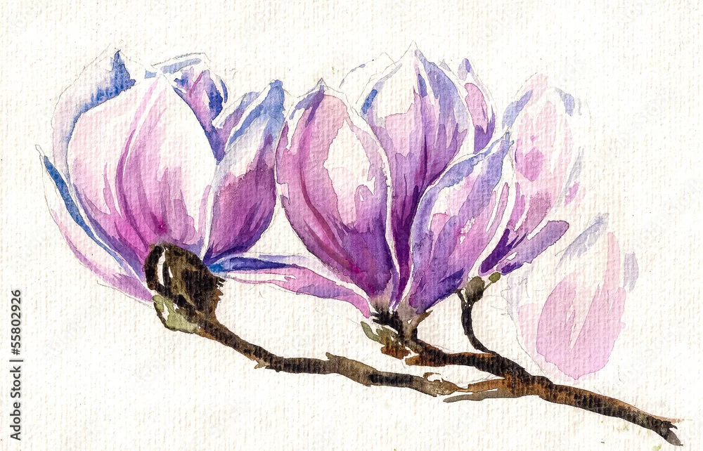 Obraz Akwarela z Kwiatami Magnolii