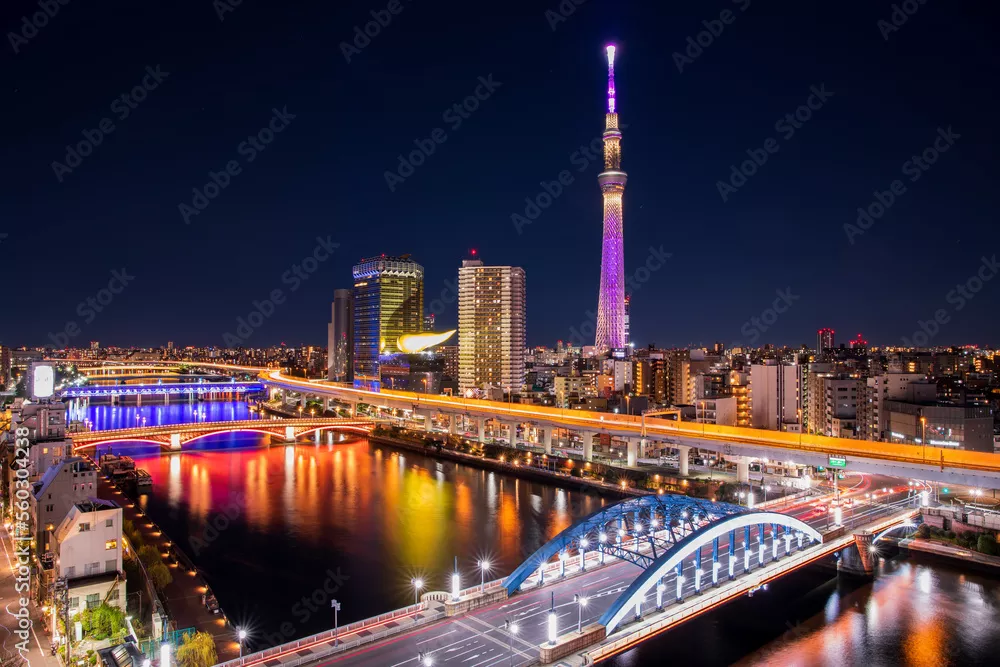 Obraz Nocna Panorama Tokio z Widokiem na Wieżę Skytree