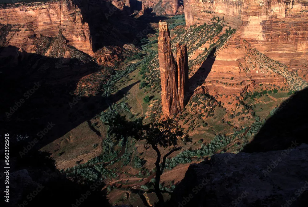 Fototapeta Spider Rock, Pomnik Narodowy Canyon de Chelly w Arizonie