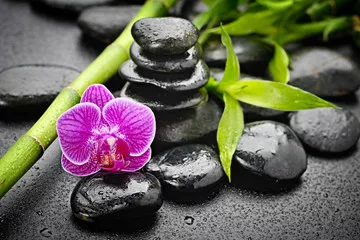 Fototapeta orchidea