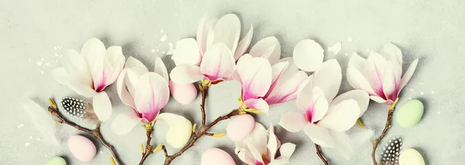 Fototapeta Sztandar Wielkanocny z pięknymi wiosennymi kwiatami magnolii i dekoracją wielkanocną na szarym kamiennym tle. Koncepcja wielkanocna