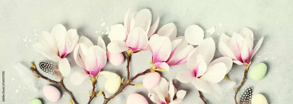 Fototapeta Sztandar Wielkanocny z pięknymi wiosennymi kwiatami magnolii i dekoracją wielkanocną na szarym kamiennym tle. Koncepcja wielkanocna
