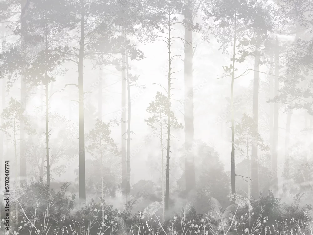 Fototapeta Magiczny Las We Mgle