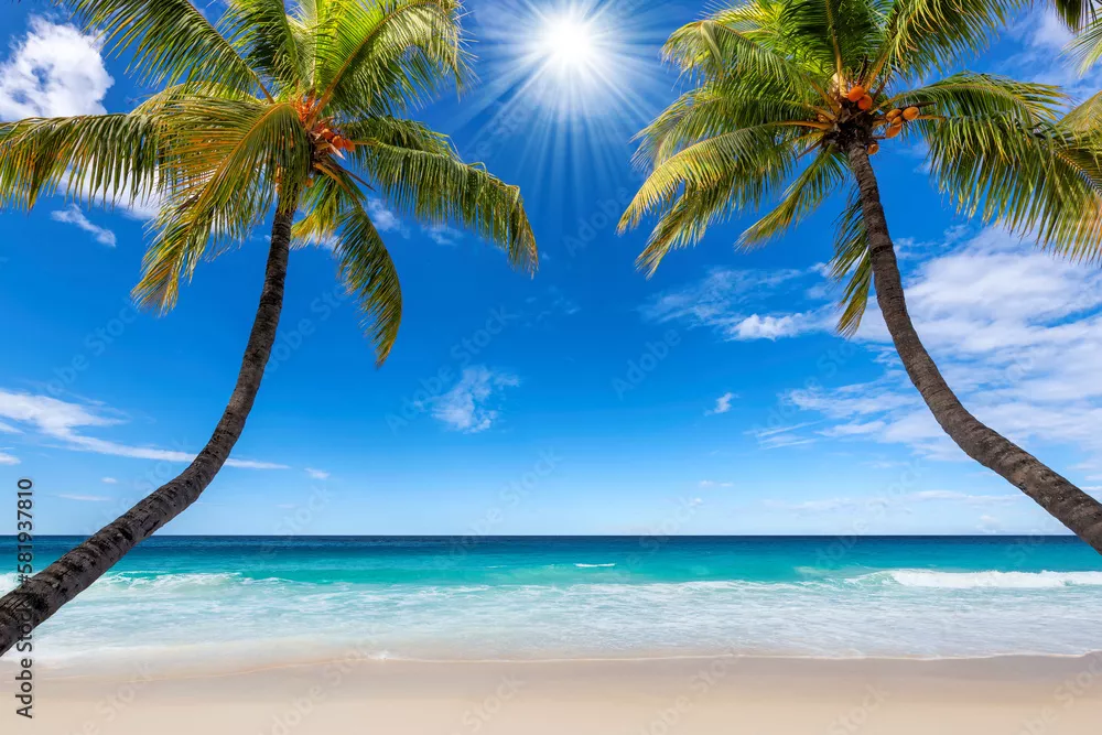 Fototapeta Rajska Plaża: Ucieczka do Tropików