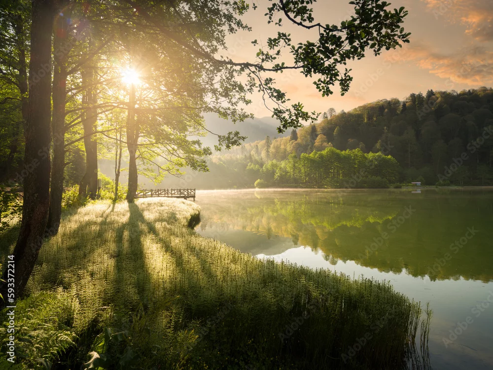 Fototapeta Magia Porannego Światła nad Jeziornym Brzegiem