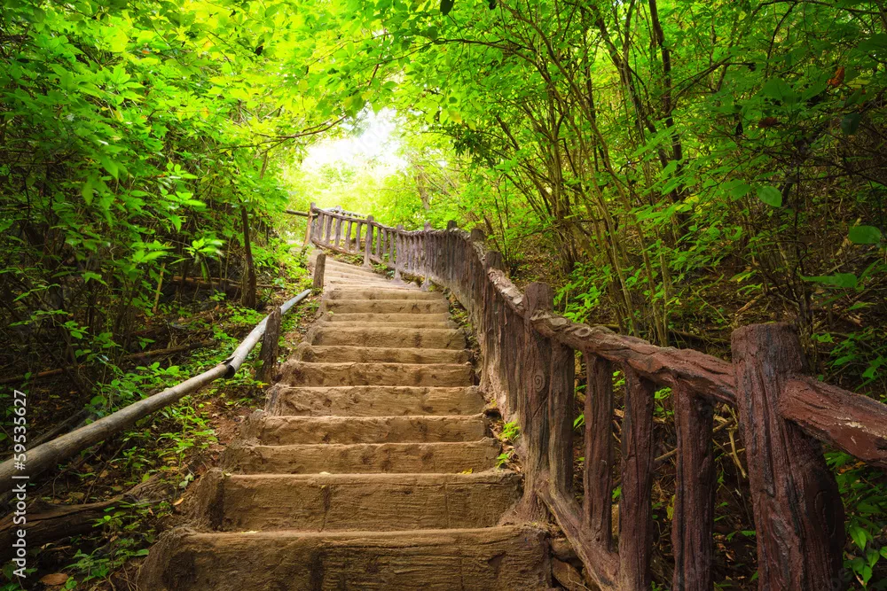 Fototapeta Schody do lasu, Kanchanaburi, Tajlandia