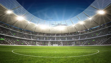 Fototapeta Linia środkowa stadionu
