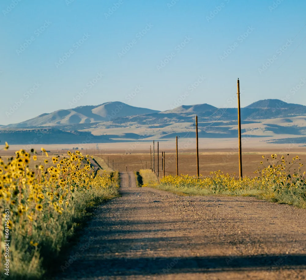 Fototapeta Urokliwa Droga w Słonecznej Dolinie