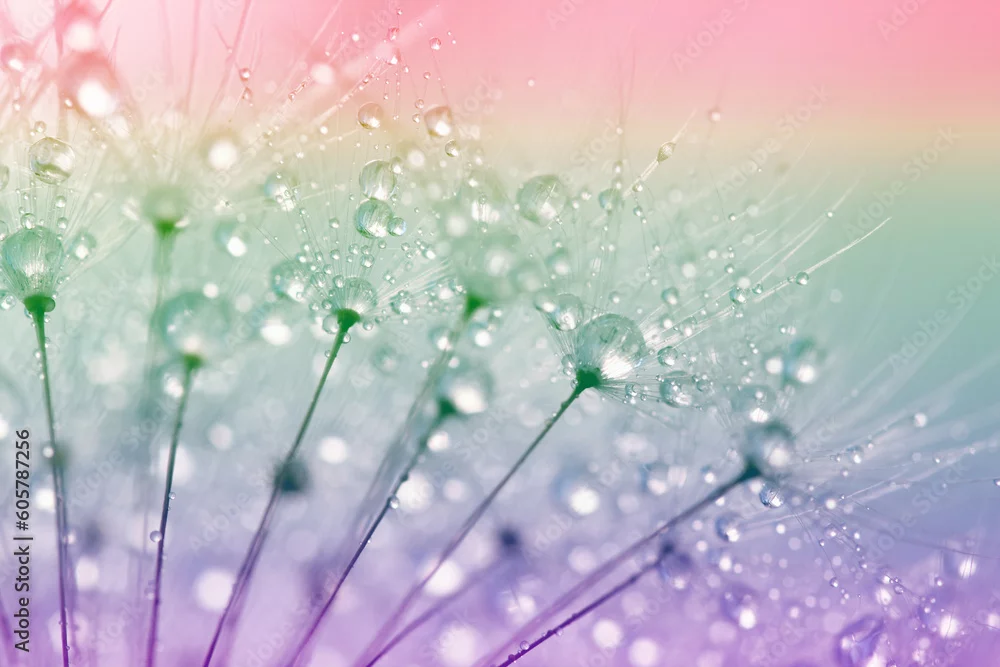 Fototapeta Pastelowa Harmonia: Delikatność Natury