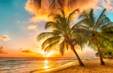Fototapeta Barbados