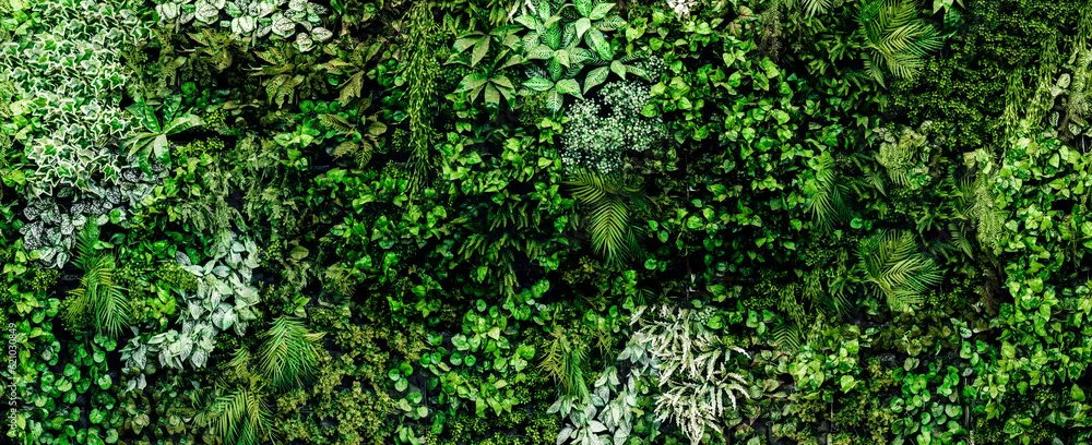 Fototapeta Harmonijny Zielony Ogród: Natura w Twoim Wnętrzu