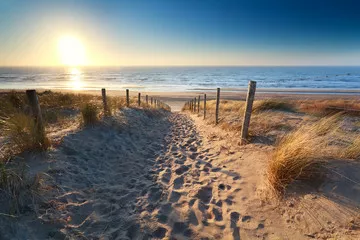 Fototapeta ścieżka do piaszczystej plaży na Morzu Północnym
