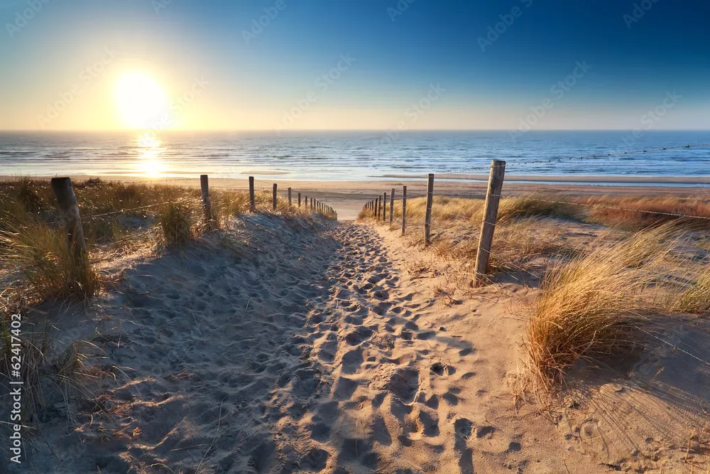 Fototapeta ścieżka do piaszczystej plaży na Morzu Północnym
