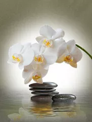 Fototapeta Kwiat orchidei nad wodą z kamieniami półszlachetnymi