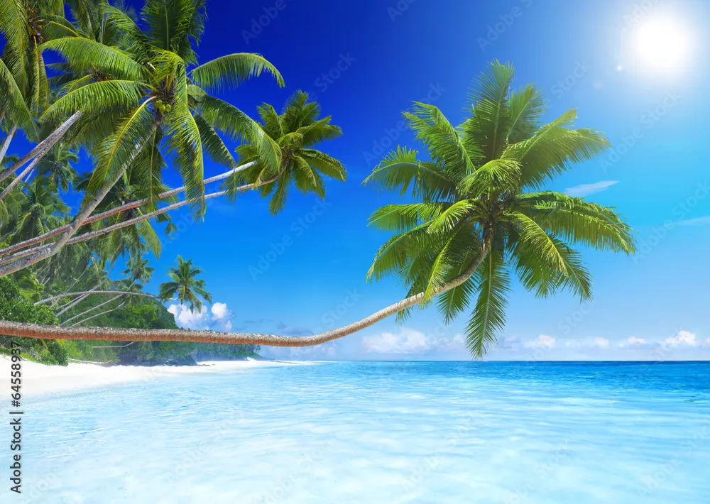 Fototapeta Plaża Tropical Paradise