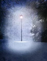 Fototapeta lampa narnia