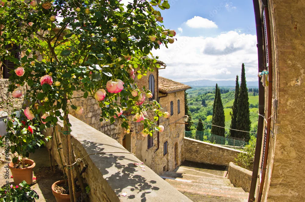 Fototapeta Róże na balkonie w San Gimignano, w tle krajobrazu Toskanii