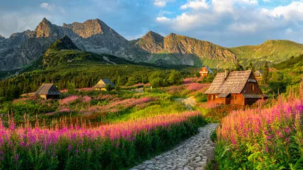 Fototapeta Magiczne Tatry: Górska Oaza i Kwiatowe Łąki