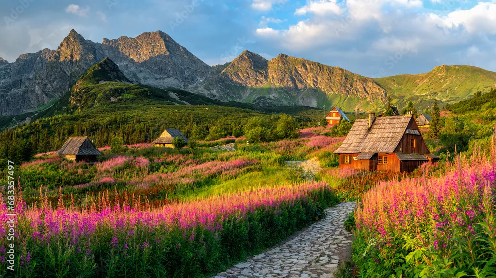 Fototapeta Magiczne Tatry: Górska Oaza i Kwiatowe Łąki