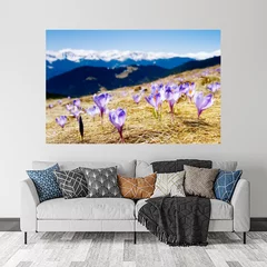 Obraz na płótnie w salonie