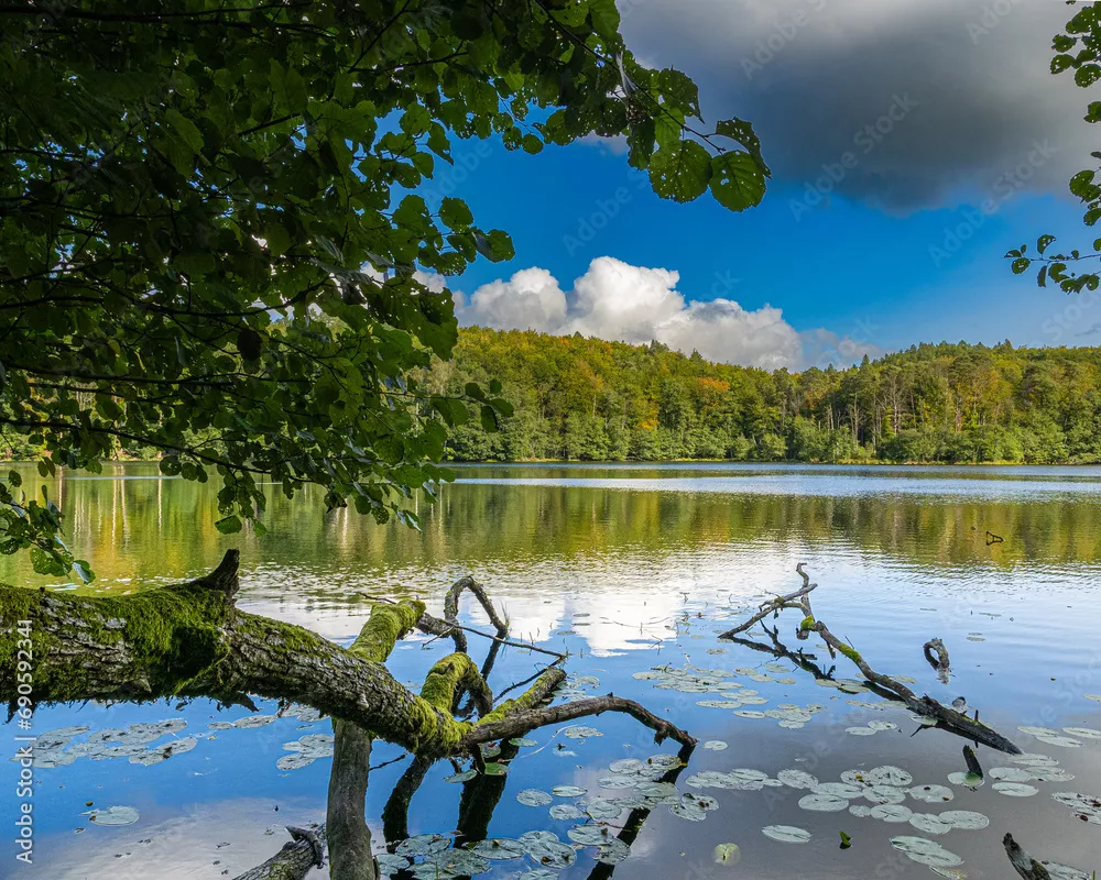 Fototapeta Kaszubskie jeziora
