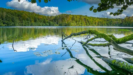 Fototapeta Kaszubskie jeziora