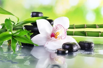 Fototapeta Kamienie spa, gałęzie bambusa i biała orchidea