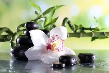 Obraz na płótnie z motywami zen – biała orchidea, kamienie i bambus dla relaksu i harmonii
