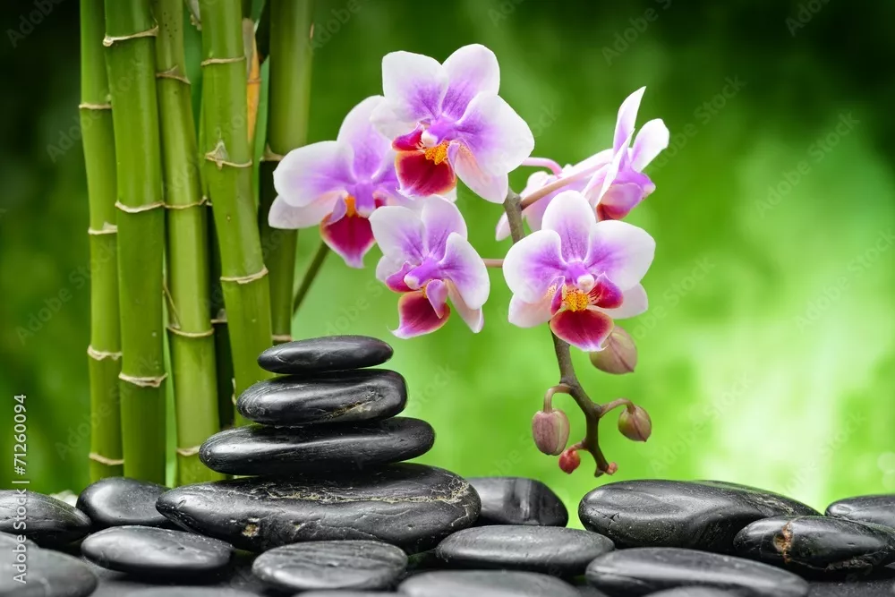 Obraz Relaksacyjna Sceneria z Orchideami i Bambu