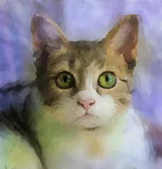 Obraz Portret Akwarelowy Kota