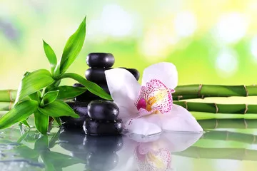 Fototapeta Stones spa, gałęzie bambusa i biała orchidea