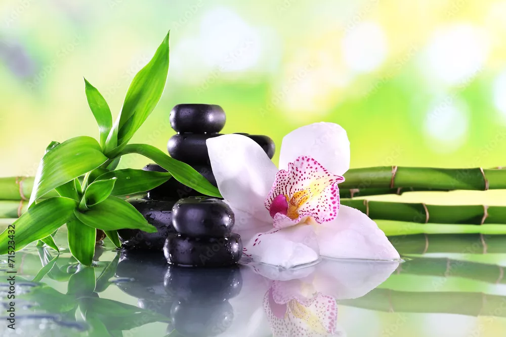 Fototapeta Stones spa, gałęzie bambusa i biała orchidea