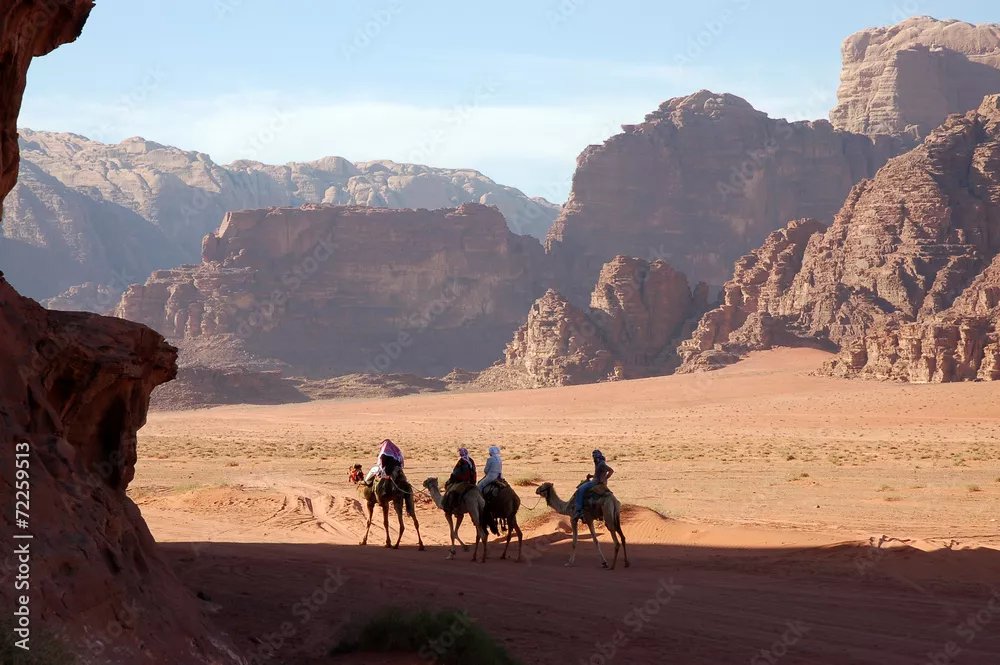 Fototapeta Camel Safari w Wadi Rum Desert, Jordan.
