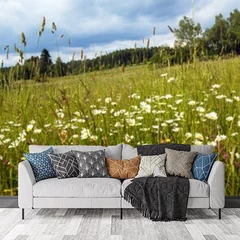 Obraz na płótnie w salonie