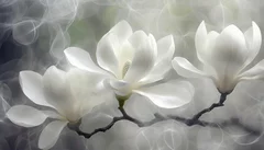 Obraz Magia Białych Magnolii: Delikatność Natury