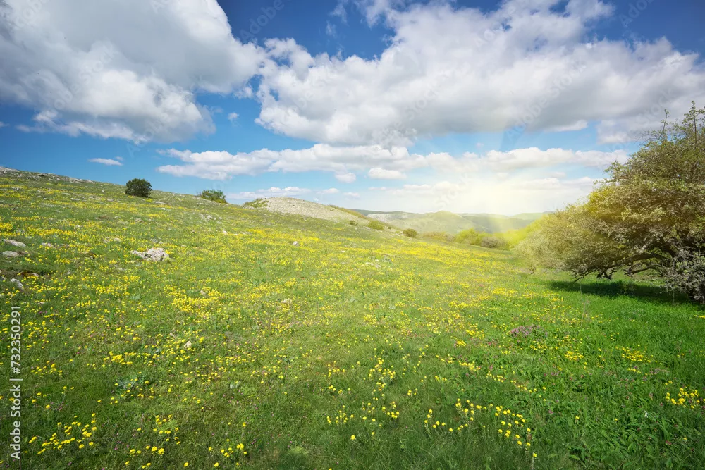 Fototapeta Mountain Meadow w dniu.