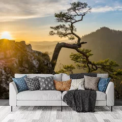 Obraz na płótnie w salonie