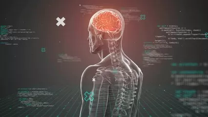 Fototapeta Animacja ludzkiego mózgu z ciałem i przetwarzaniem danych na ciemnym tle