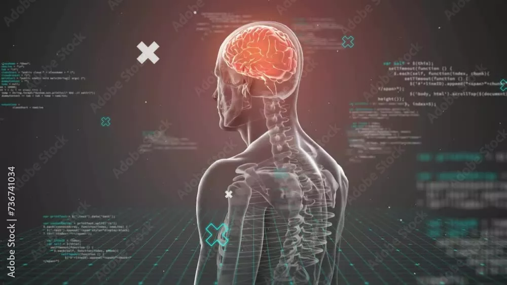 Fototapeta Animacja ludzkiego mózgu z ciałem i przetwarzaniem danych na ciemnym tle