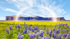 Fototapeta Magiczny Krajobraz: Tęcza nad Górską Doliną