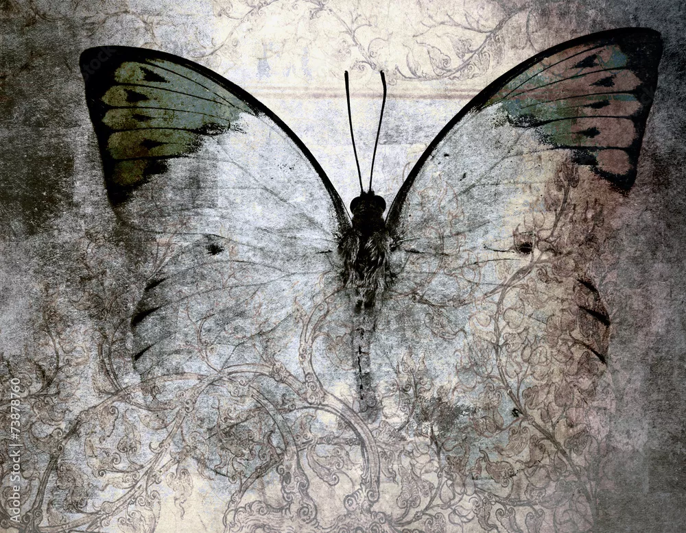 Fototapeta motyl